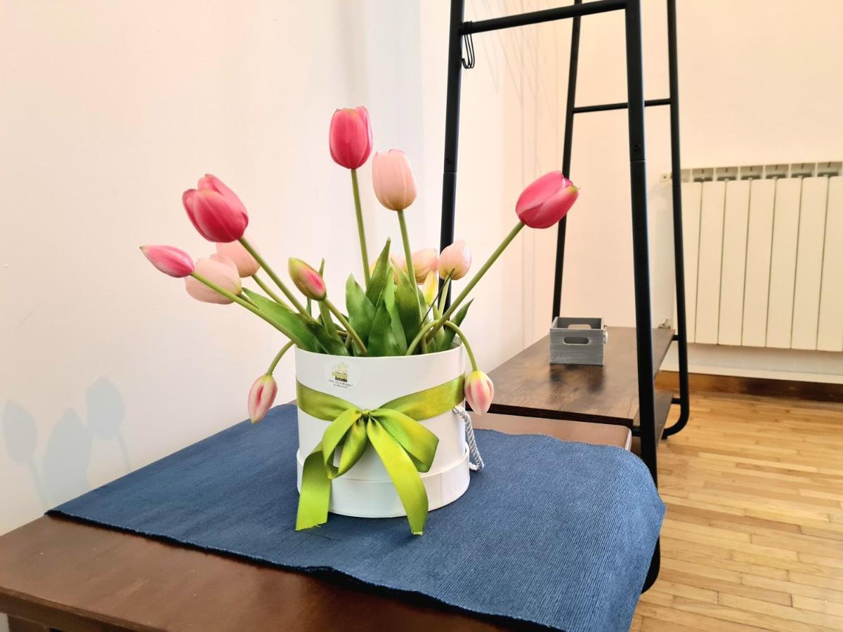 Apartamento Flavel Colosseo Roma Exterior foto